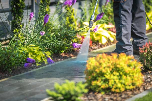 Trusted Southside Place, TX  Pressure Washing Services Experts